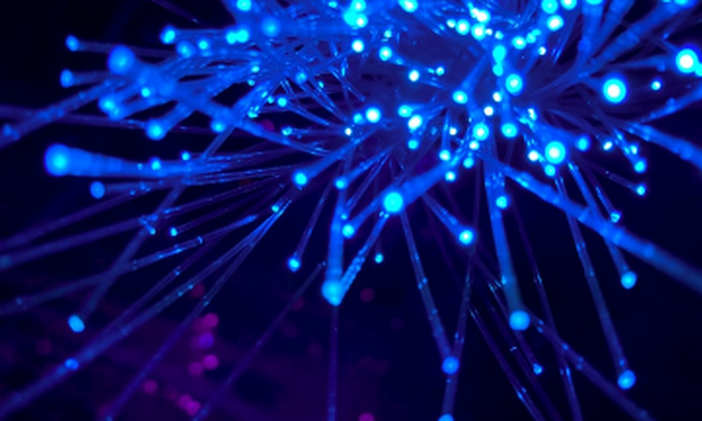 신경망(Neural Network)?